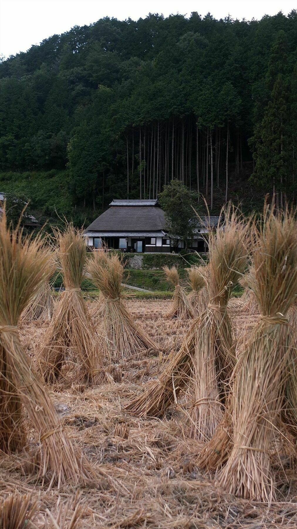 奈良市 Sasayuri-Annヴィラ エクステリア 写真