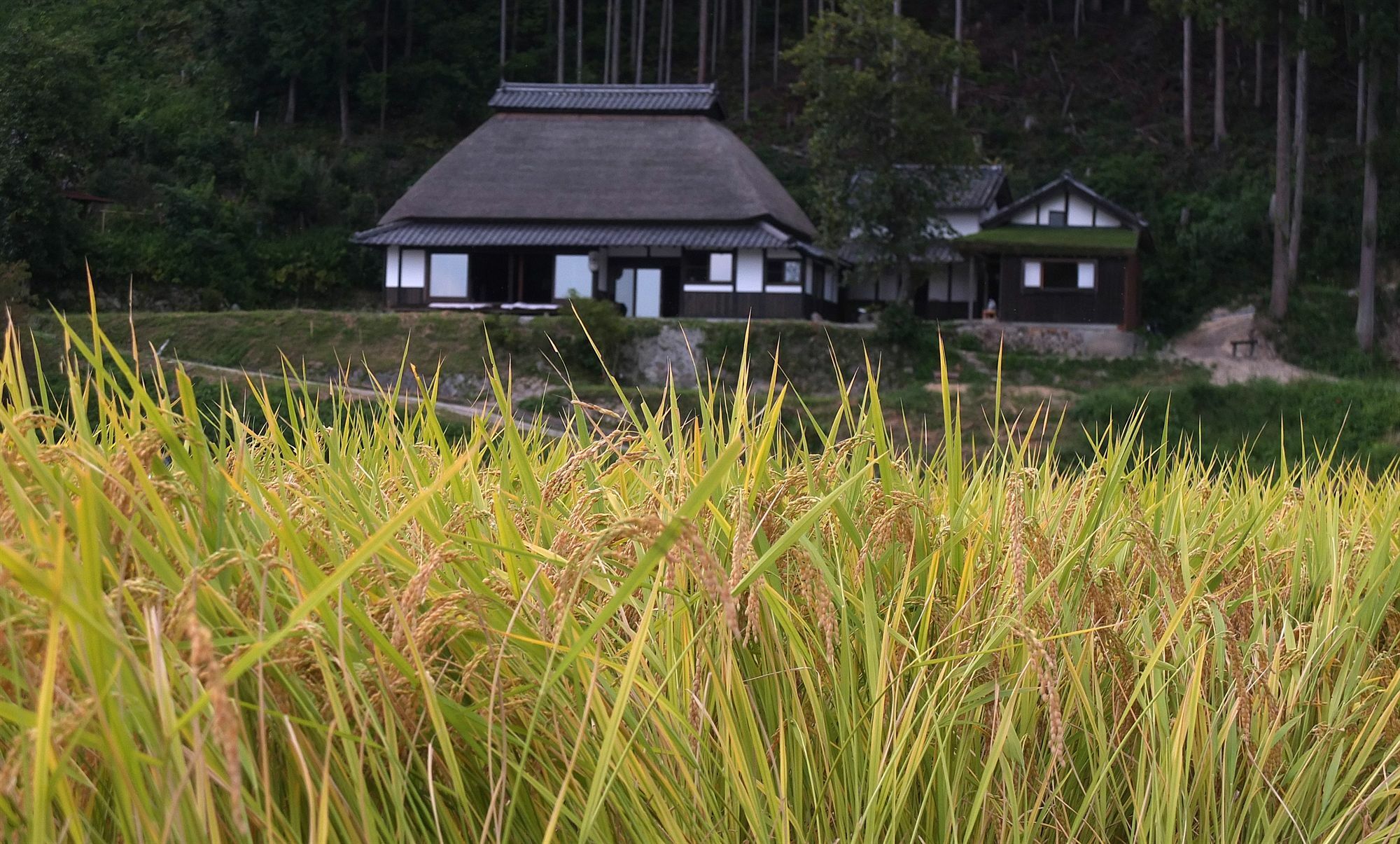 奈良市 Sasayuri-Annヴィラ エクステリア 写真